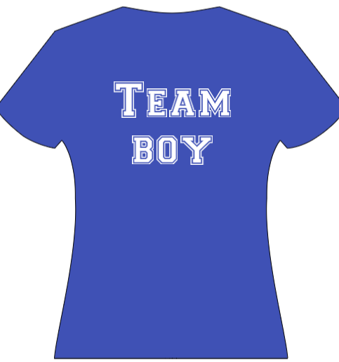 Adult Baby Shower Reveal Team Boy or Team Girl Teeshirt